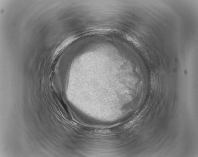 X0000059081354200510281713