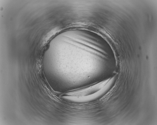 X0000059081355200510281713