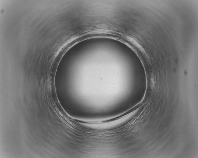 X0000059081356200510281713