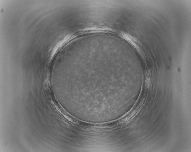 X0000059081357200510281713