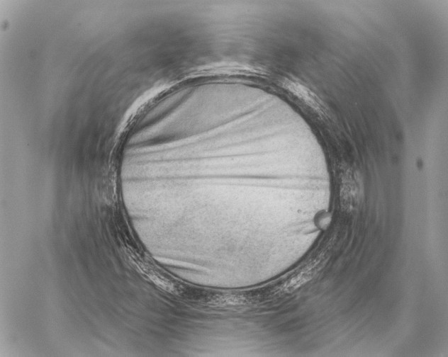 X0000059081358200510281713