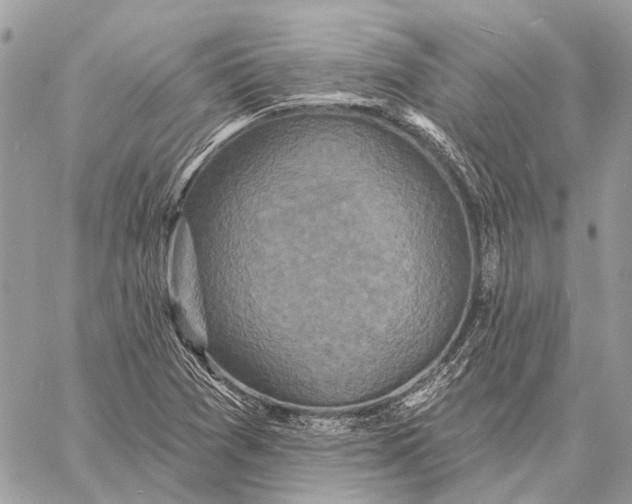 X0000059081361200510281713