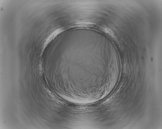 X0000059081362200510281713