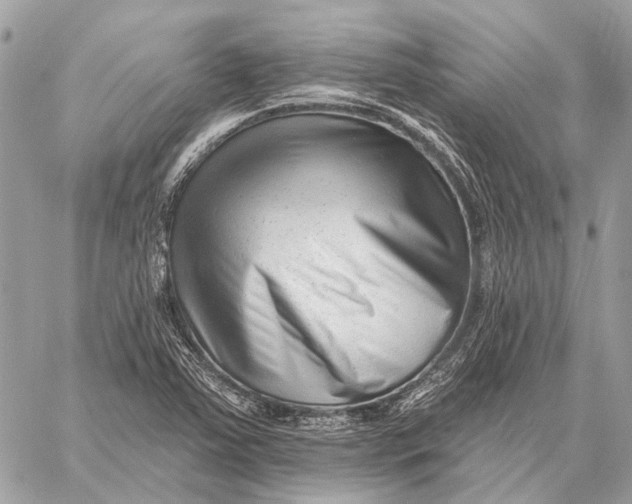 X0000059081363200510281713