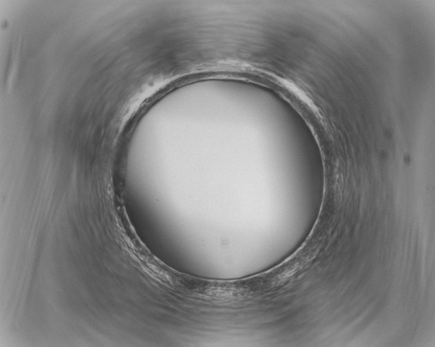 X0000059081364200510281713