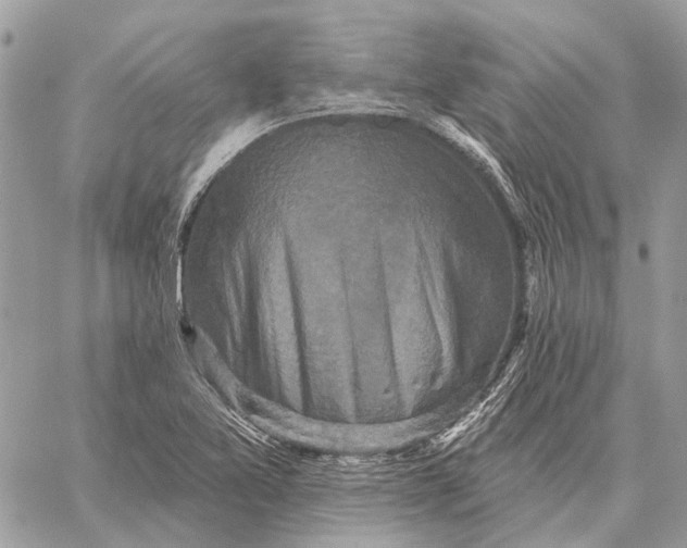 X0000059081365200510281713