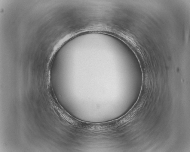 X0000059081366200510281713