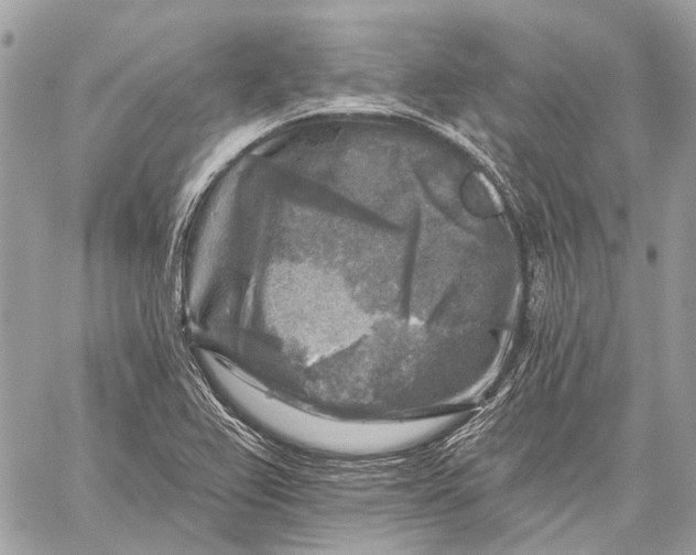 X0000059081367200510281713