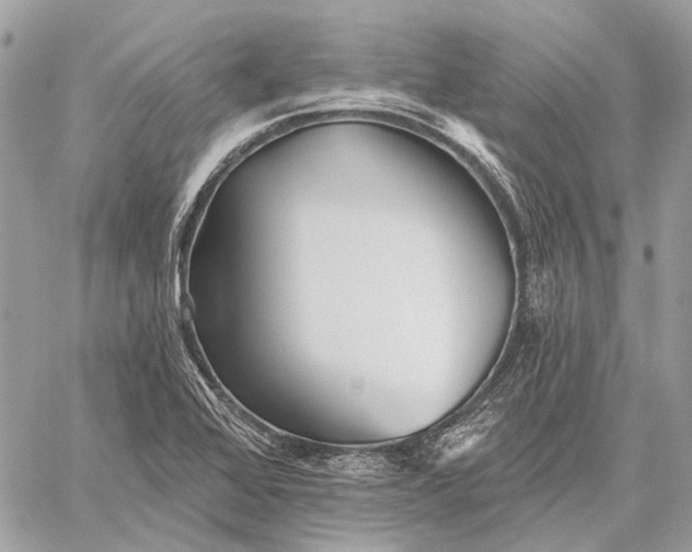 X0000059081368200510281713