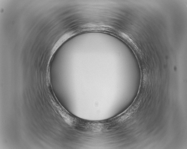 X0000059081370200510281713