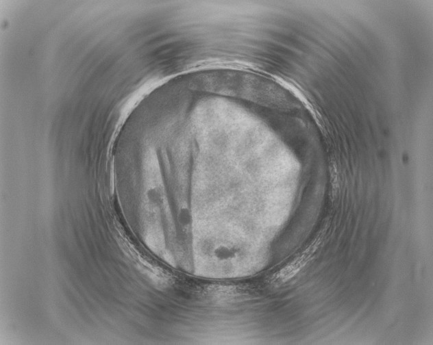 X0000059081371200510281713