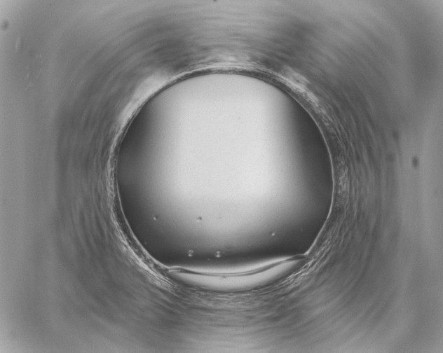 X0000059081375200510281713