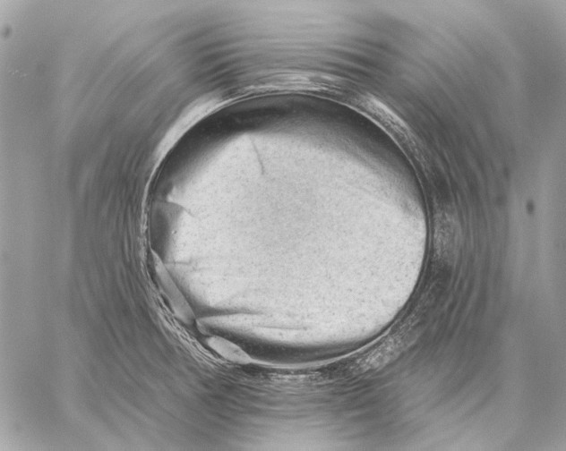 X0000059081378200510281712