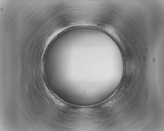 X0000059081380200510281712