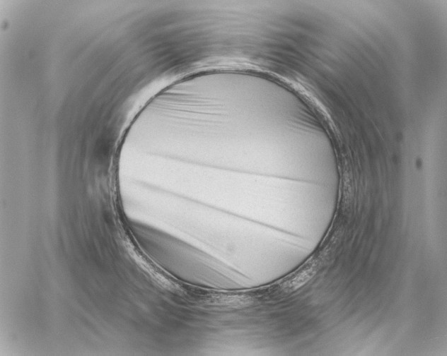 X0000059081382200510281712