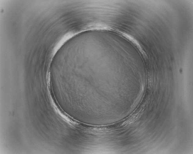 X0000059081383200510281712