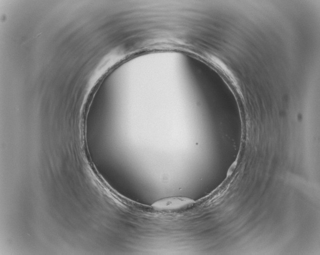 X0000059081384200510281712