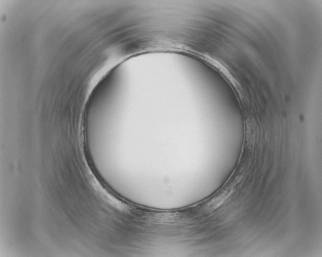 X0000059081387200510281712