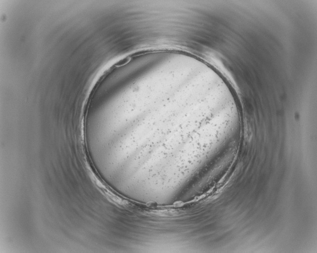 X0000059081388200510281712