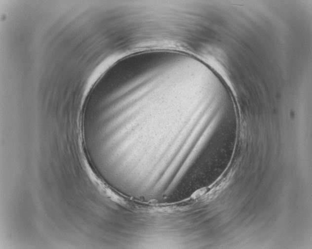 X0000059081389200510281712