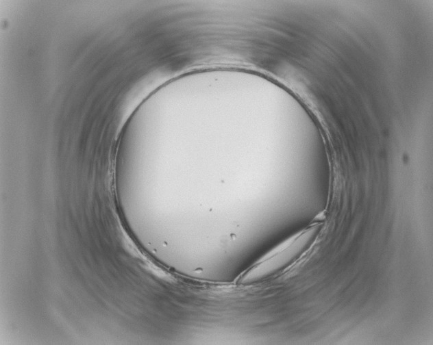 X0000059081390200510281712