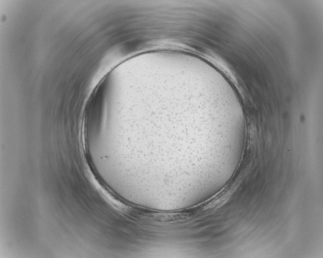 X0000059081391200510281712