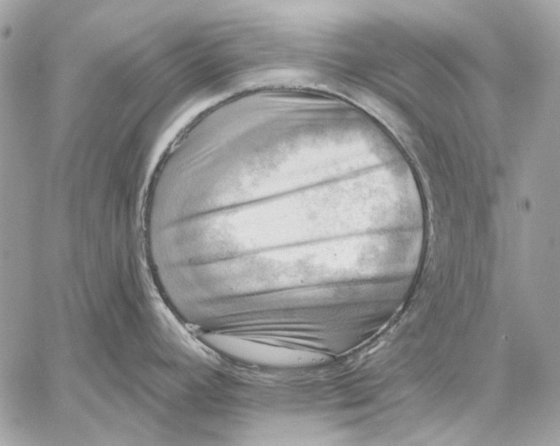 X0000059081392200510281712