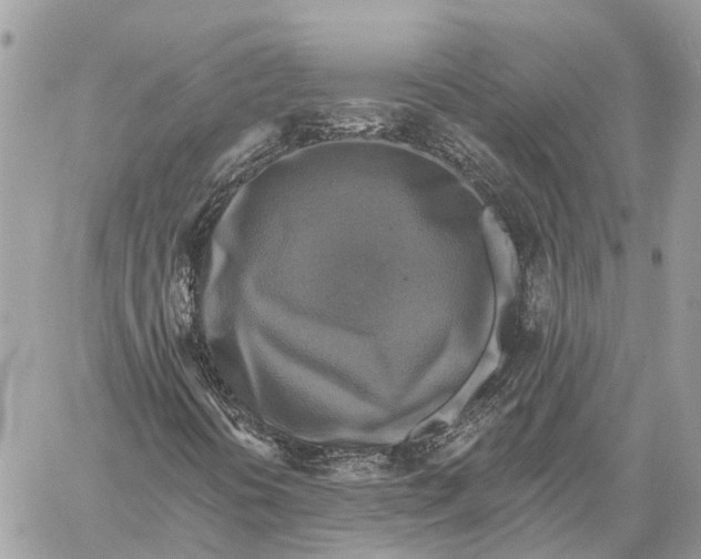 X0000059081394200510281711