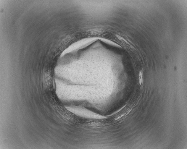 X0000059081395200510281711