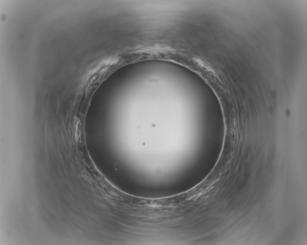 X0000059081398200510281712