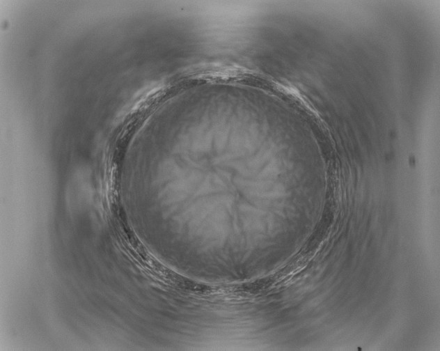 X0000059081399200510281712