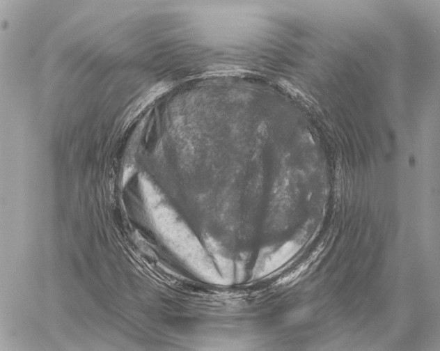 X0000059081401200510281712