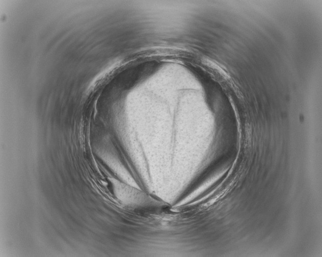 X0000059081403200510281712