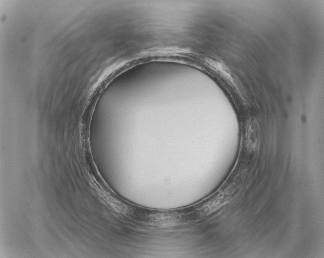 X0000059081404200510281712