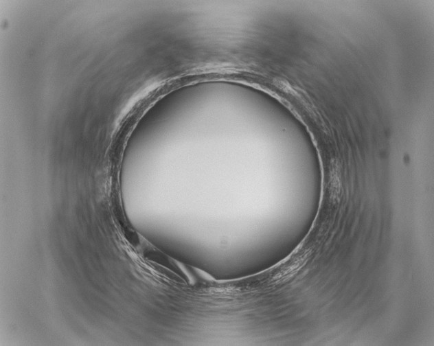 X0000059081406200510281712