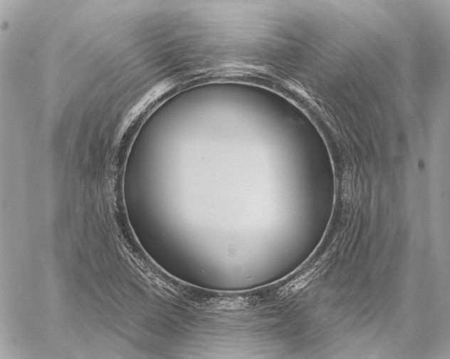 X0000059081410200510281712