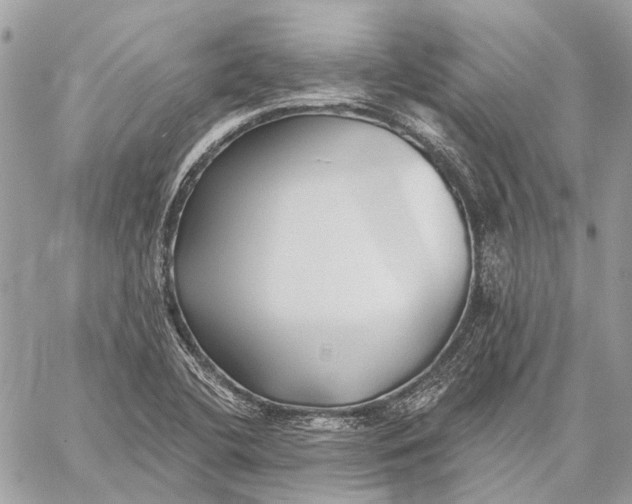 X0000059081412200510281712