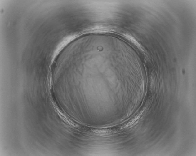 X0000059081413200510281712