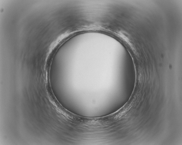 X0000059081414200510281712