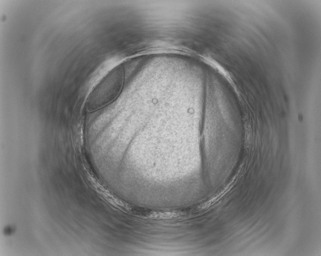 X0000059081415200510281712