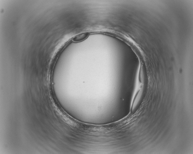 X0000059081416200510281712