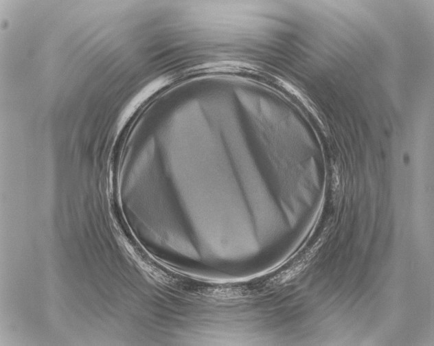 X0000059081418200510281712