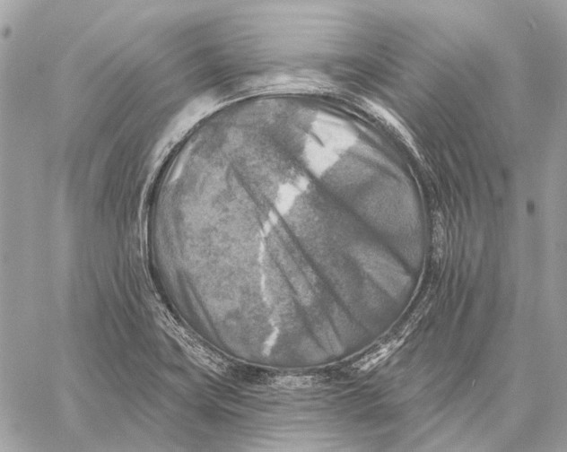 X0000059081419200510281712