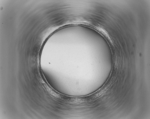 X0000059081420200510281712