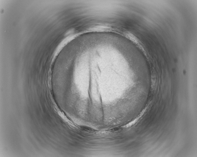 X0000059081421200510281712