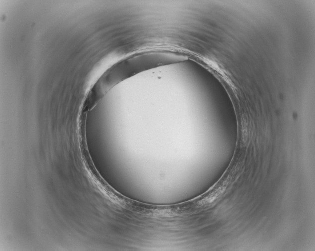 X0000059081422200510281712