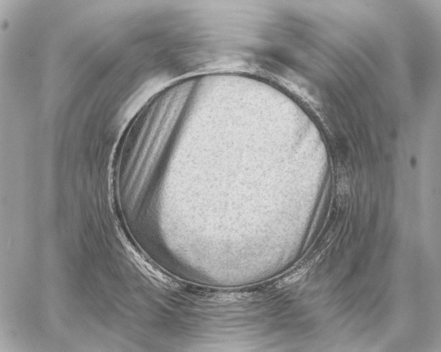 X0000059081423200510281712