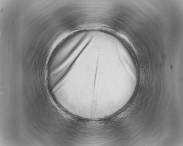 X0000059081424200510281712