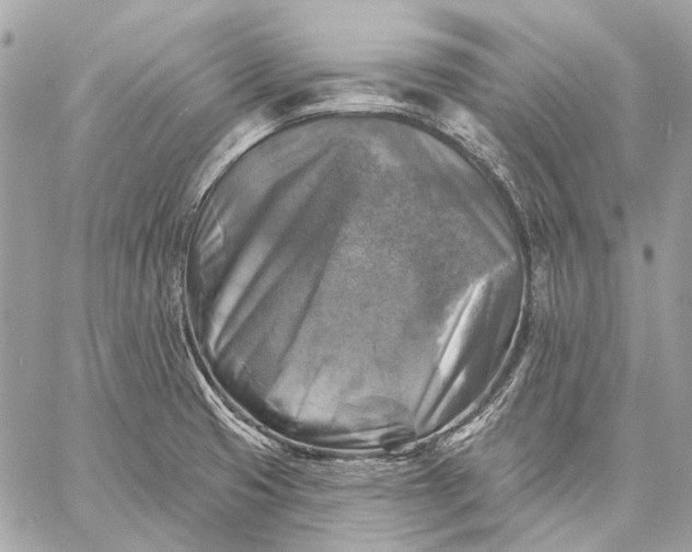 X0000059081425200510281712