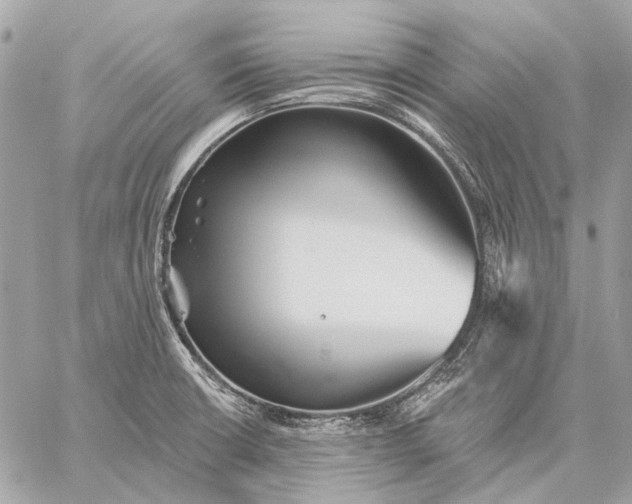 X0000059081426200510281712